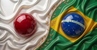 Bandeira Estilizada